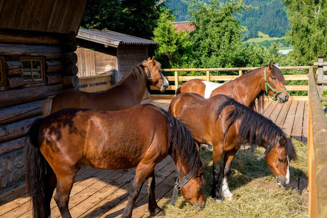 Ferienhaus / Chalet Lerch Villa Sankt Johann im Pongau Bagian luar foto